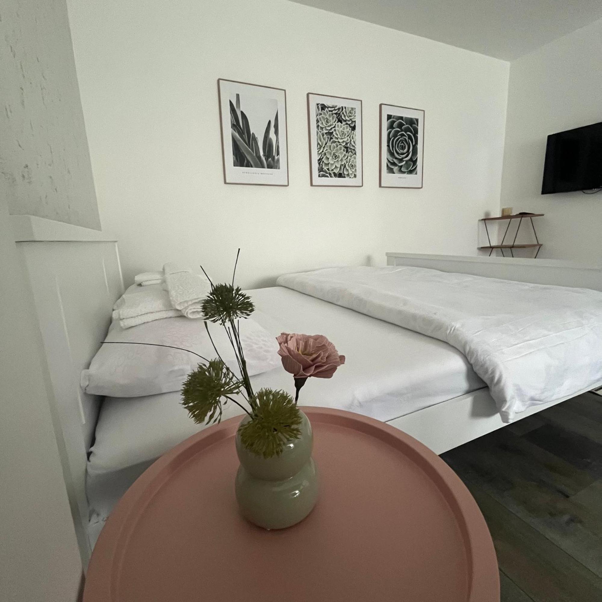Beoair Apartments Surcin ภายนอก รูปภาพ